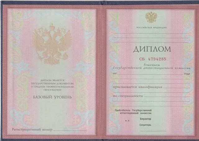 Диплом техникума 2004–2013 гг.